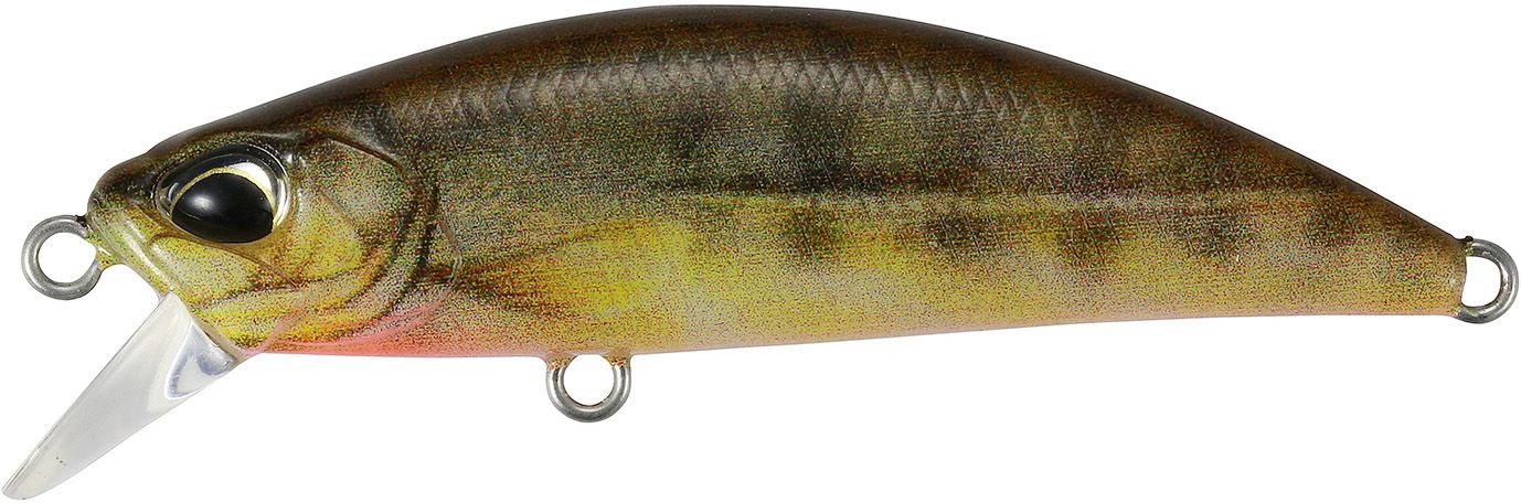 Spearhead Ryuki 50S